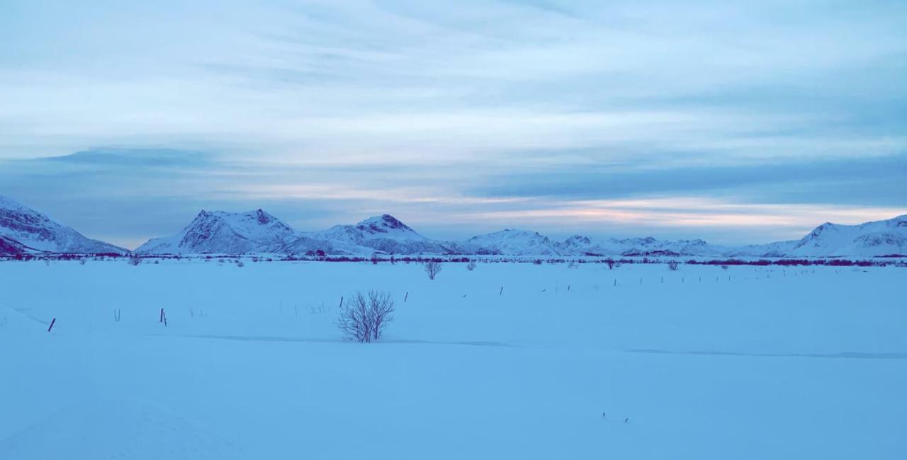 Narnia Lodge Lofoten Gimsoy Екстер'єр фото