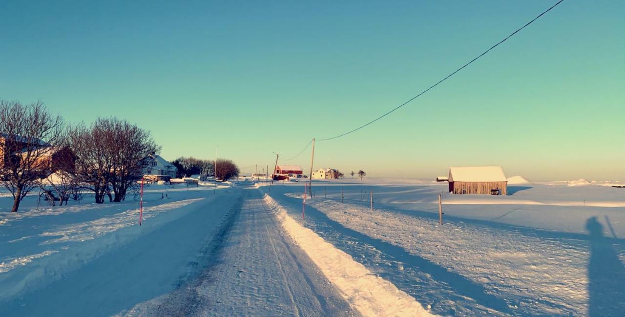 Narnia Lodge Lofoten Gimsoy Екстер'єр фото