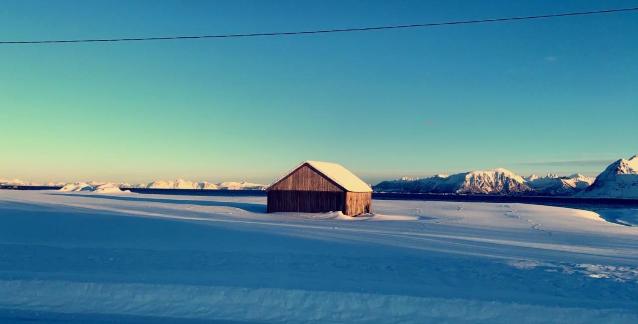 Narnia Lodge Lofoten Gimsoy Екстер'єр фото