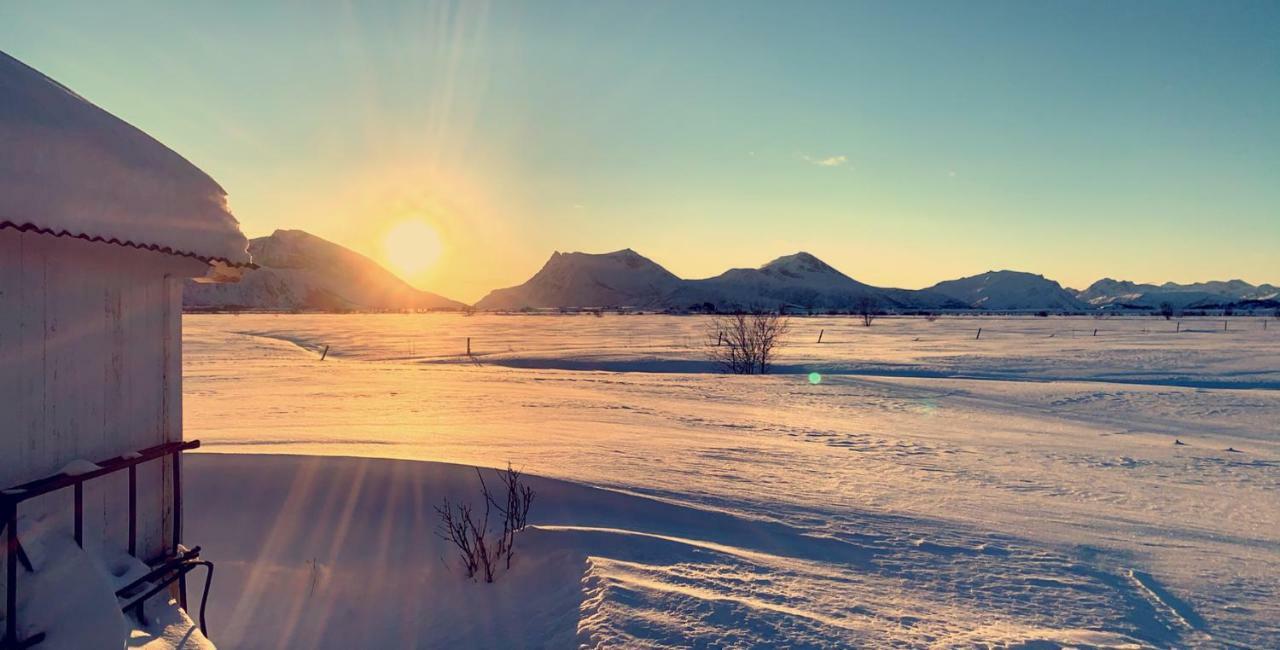 Narnia Lodge Lofoten Gimsoy Екстер'єр фото