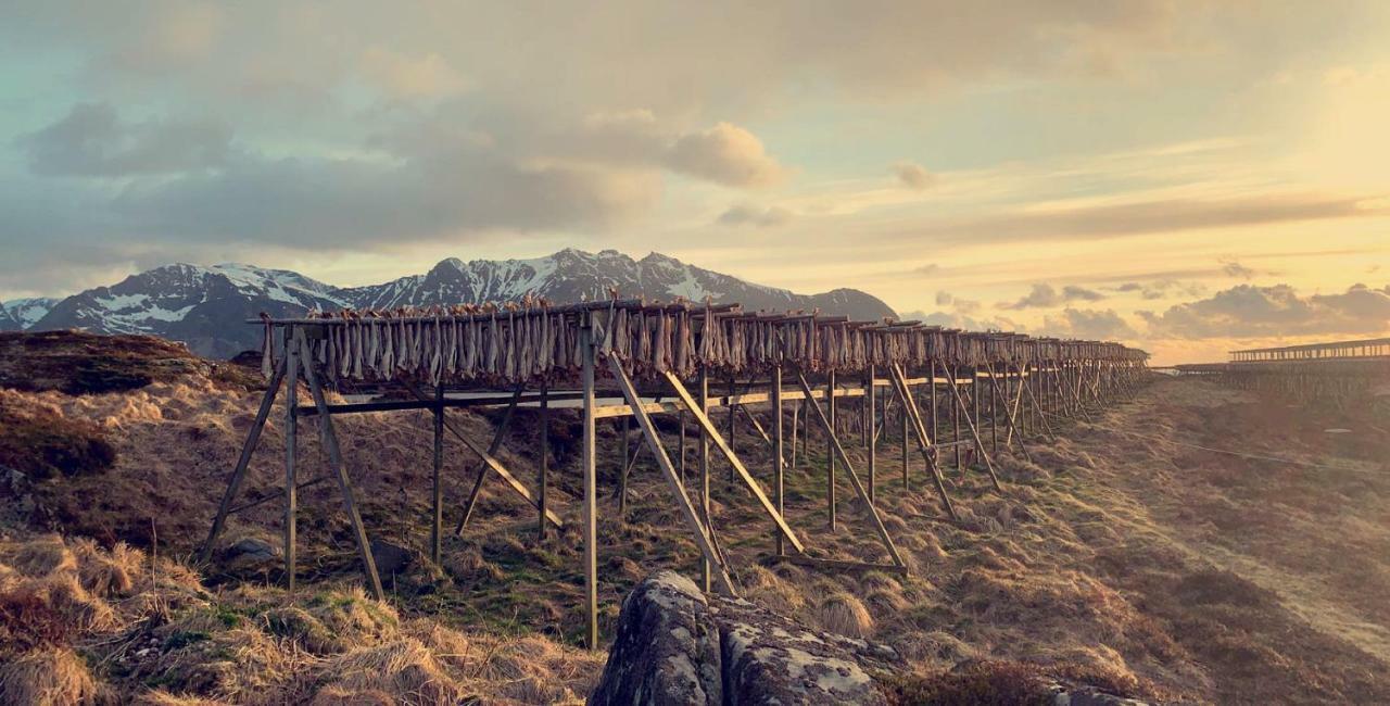 Narnia Lodge Lofoten Gimsoy Екстер'єр фото